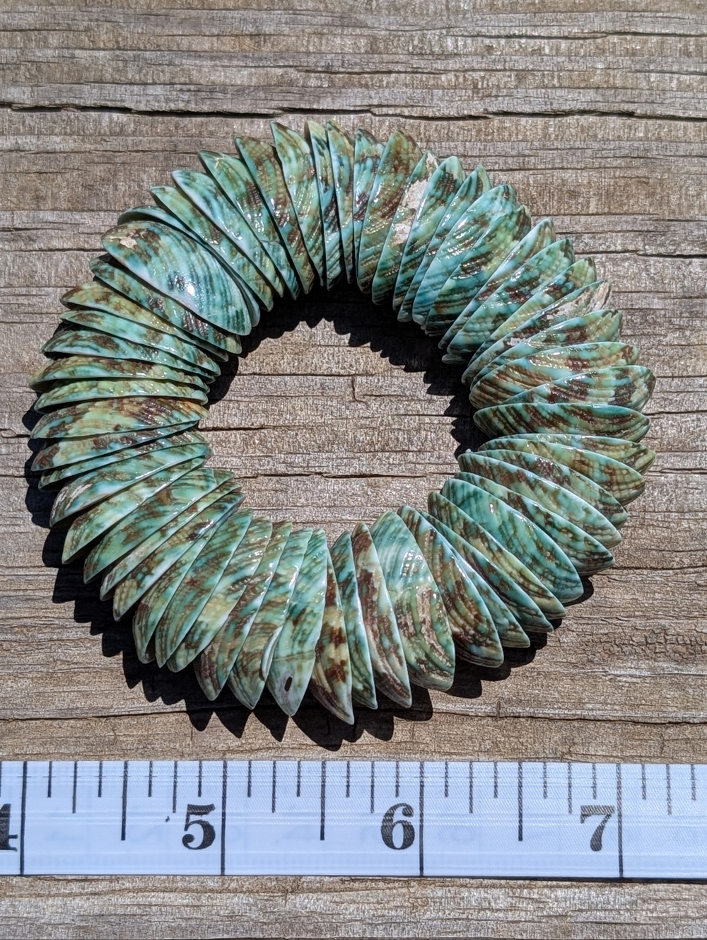 Turquoise Turbo Shell Bead Bracelet